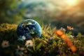 Globe on grass with sunlight and dew drops Royalty Free Stock Photo