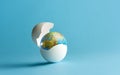 The globe hatches from the egg. The birth of the earth Royalty Free Stock Photo