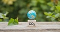 Globe hovering over a wooden block with the inscription CO2 outdoors Royalty Free Stock Photo