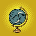 Globe international the cat is curled up in a ball and sleeps Royalty Free Stock Photo