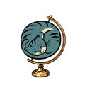 Globe international the cat is curled up in a ball and sleeps Royalty Free Stock Photo