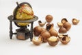 Globe model and ripe macadamia nuts closeup. Small Depth of Field Royalty Free Stock Photo