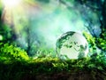 Globe on moss in a forest - Europe Royalty Free Stock Photo