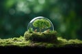 Globe On Moss In Forest, Illustrating Environmental Earth Day Concept