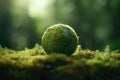 Globe On Moss In Forest, Illustrating Environmental Earth Day Concept