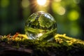 Globe in nature Earth sphere crystal illuminated by sunlight on moss