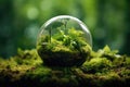 Globe Placed On Moss In Forest, Illustrating Environmental Earth Day Concept