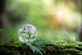 Globe planet glass In green forest with bokeh nature lights. world environment day. concept for environment conservation, protect Royalty Free Stock Photo