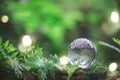 Globe planet glass In green forest with bokeh nature lights. world environment day. concept for environment conservation, protect Royalty Free Stock Photo