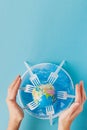 Globe on a plastic plate. The concept of ecology, land conservation