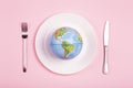 Globe on a plate for food on a pink background. Power, economy, politics, globalism, hunger, poverty and world food concept