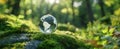 The globe resting gently on moss in a serene forest setting AI generated image Royalty Free Stock Photo