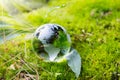 Globe resting on moss in a forest. Royalty Free Stock Photo