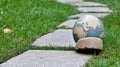 Globe rests on stone path, green grass background, environmental concept Royalty Free Stock Photo