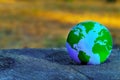 Globe Set on a Huge Tree Stump in the Woods Royalty Free Stock Photo