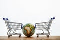 A globe with the shopping cart, trolley