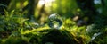 The globe surrounded by lush moss in a tranquil forest setting. AI generated image Royalty Free Stock Photo