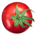 Globe tomato top view, calyx up Royalty Free Stock Photo