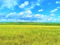 gloden grassland Royalty Free Stock Photo