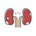 glomerulonephritis kidney disease color icon vector illustration