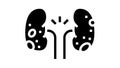 glomerulonephritis kidney disease glyph icon animation