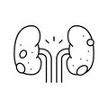 glomerulonephritis kidney disease line icon vector illustration
