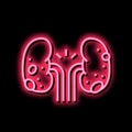 glomerulonephritis kidney disease neon glow icon illustration