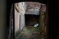 A gloomy alley. peeling walls, discarded satellite dish, bricks and other junk Royalty Free Stock Photo
