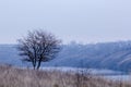 Gloomy autumn landscape. lonely tree cliff edge