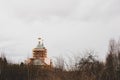 Temple under construction against a cloudy sky and bald trees