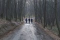 Gloomy autumn park in cloudy cold weather, gloomy paints of fall. Walking three man in autumn deserted forest on the road to frost Royalty Free Stock Photo