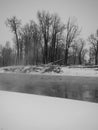 Gloomy black and white winter landscape with bare trees by the river on foggy day Royalty Free Stock Photo