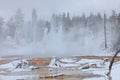 Gloomy cold day in Yellowstone Park