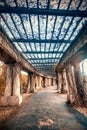 Gloomy and dark corridor with columns that were covered with bushes