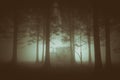 Gloomy forest with fog and house Royalty Free Stock Photo