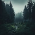 Gloomy forest nature wallpaper background