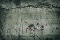 Gloomy grunge background - dead burdock near the concrete wall