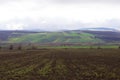 A gloomy January day in the harvested fields of Azerbaijan