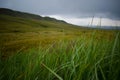 The gloomy landscape of the mountain tundra on the Ukok Plateau Royalty Free Stock Photo