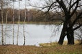 Autumn day in a Moscow park, Russia Royalty Free Stock Photo