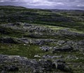 Gloomy landscape of polar tundra. Northern nature of Teriberka, Kola Peninsula