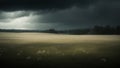 Gloomy Meadow Landscape Moody Vintage Film Lighting