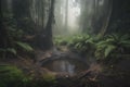 gloomy and misty sinkhole forest with towering trees