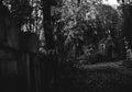 Gloomy monuments of the cemetery on sunny autumn afternoon Royalty Free Stock Photo