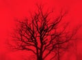 Gloomy oak in red mist Royalty Free Stock Photo