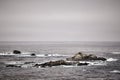 Gloomy shot of Point Lobos State Natural Reserve, California, USA Royalty Free Stock Photo