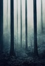 Gloomy, spooky, foggy dark forest landscape. Surreal mysterious horror forest background Royalty Free Stock Photo