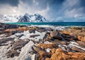 Gloomy spring view of Lofoten Islands. Melting snow on Flakstadpollen fjord. Royalty Free Stock Photo