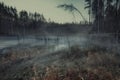 Gloomy swamp lake in fog in autumn