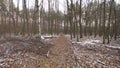 Gloomy winter forest pov shot